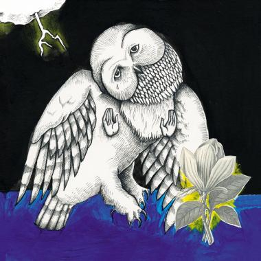 Songs Ohia -  Magnolia Electric Co